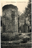 CP 77 Fontenay Trésigny  * Les Ruines Du Vivier   15 Aout 1915 Au Dos - Fontenay Tresigny