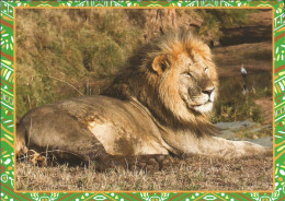 Picture Postcard Czech Republic Lion 2023 - Lions