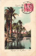 EGYPTE - Paysage Sur Le Fleuve - Colorisé - Carte Postale Ancienne - Other & Unclassified