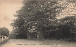 FRANCE - Saint Hilaire Chalo - Château De Champrond - Carte Postale Ancienne - Other & Unclassified