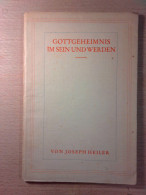 Gottgeheimnis Im Sein Und Werden - Otros & Sin Clasificación