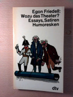 Wozu Das Theater? Essays, Satiren, Humoresken - Humor