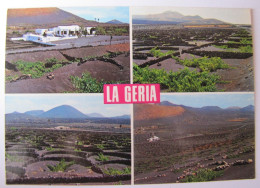 ESPAGNE - ISLAS CANARIAS - LANZAROTE - LA GERIA - Mar De Vinas - Lanzarote