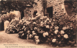 FRANCE - Plage Des Rosaires - La Végétation - Carte Postale Ancienne - Autres & Non Classés