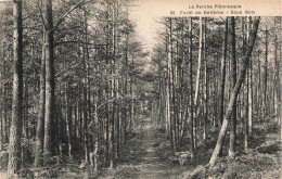 FRANCE - Forêt De Bellême - Sous Bois - La Perche Pittoresque - Carte Postale Ancienne - Autres & Non Classés