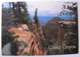 ETATS-UNIS - ARIZONA - Grand Canyon - Grand Canyon