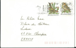 BELGIQUE LETTRE 12F TOURNAI POUR CHAMPEIX ( PUY DE DOME ) DE 1987 LETTRE COVER - Covers & Documents