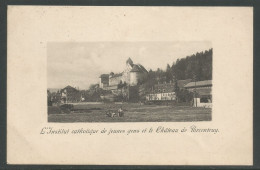 Carte P De 1913 ( L'Institut Catholique De Jeunes Gens Et Le Château De  Porrentruy ) - Porrentruy