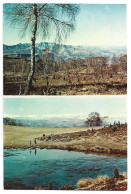 PAISAJE Y LAGO DE LAS RANAS.- SANTUARIO DE NTRA. SRA. DE LA FONT DE LA SALUD.-  CASTELLON.- ( ESPAÑA ) - Castellón