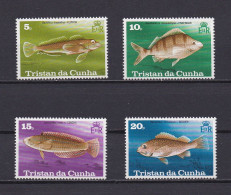 TRISTAN DA CUNHA 1978 TIMBRE N°244/47 NEUF** POISSONS - Tristan Da Cunha