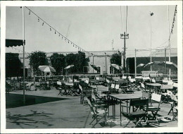 BAHRAIN - BAPCO CLUB TERRACE - PHOTO ( CM15,5/11,3 ) - 1960s/70s (11764) - Bahrain