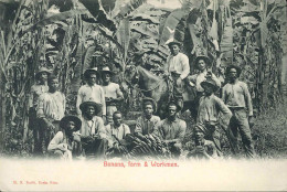 COSTA RICA  BANANA FARM & WORKMEN ED. RUDD - Costa Rica