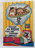 CP Humour - Illustrateur Barberousse - Edition Dalix - Nº 13 Une Vie De Chat - - Barberousse