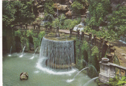 Cartolina Tivoli - La Fontana Dell'ovato - Tivoli