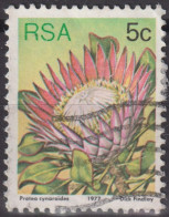 1977 RSA Südafrika ° Mi:ZA 516A, Sn:ZA 479, Yt:ZA 420, K12½, King Protea (Protea Cynaroides) - Used Stamps