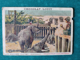 Chromo - CHOCOLAT-LOUIT - Les Grandes Chasses -- ELEPHANT - Louit