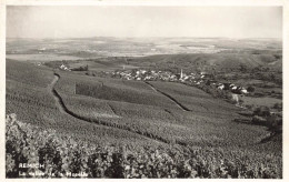 LUXEMBOURG - Remich - Vallée De La Moselle - Carte Postale - Remich