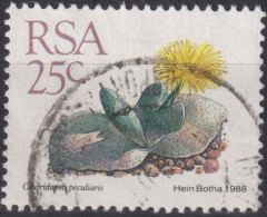 1988 RSA Südafrika ° Mi:ZA 750, Sn:ZA 744, Yt:ZA 667, Cheiridopsis Peculiaris, Freimarken - Sukkulenten - Usati