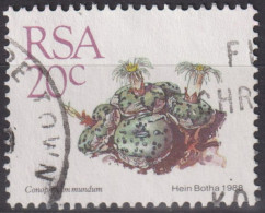 1988 RSA Südafrika ° Mi:ZA 749, Sn:ZA 742, Yt:ZA 666, Conophytum Mundum, Freimarken - Sukkulenten - Gebruikt