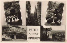 LUXEMBOURG - Petite Suisse Luxembourgeoise - Gorge Du Loup Vue Sur Echternach - Multivues - Carte Postale Ancienne - Echternach