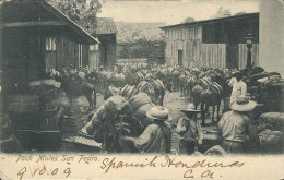 HONDURAS SAN PEDRO PACK MULES 1909 - Honduras