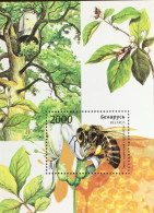 Belarus 2004 Bees Insects Minisheet MNH - Abeilles