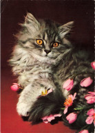 ANIMAUX & FAUNE - Chats - Fleurs - Carte Postale Ancienne - Katten