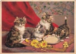 ANIMAUX & FAUNE - Chats - Fleurs - Carte Postale Ancienne - Katten