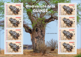GUINEA 2023 M/S 8V - BIODIVERSITY - FROGS FROG GRENOUILLES GRENOUILLE - MNH - Grenouilles