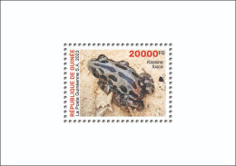 GUINEA 2023 SHEET 1V - BIODIVERSITY - FROGS FROG GRENOUILLES GRENOUILLE - LUXE MNH - Grenouilles