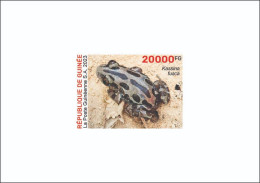 GUINEA 2023 DELUXE PROOF - BIODIVERSITY - FROGS FROG GRENOUILLES GRENOUILLE - Frösche