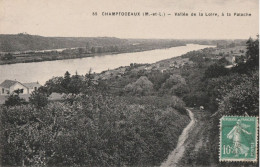 CHAMPTOCEAUX  Vallée De La Loire Et La Patache - Champtoceaux