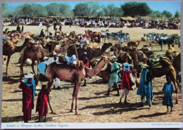 AFRICA NIGERIA NORTHEN MONGUNO CAMELS MARKET POSTCARD POSTKARTE ANSICHTSKARTE CARTE POSTALE CARTOLINA PHOTO CARD KARTE - Nigeria