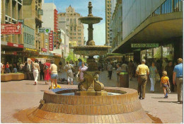 AUSTRALIA Rundle Mail Fountain, S.A. TP Chien Terrier - Autres & Non Classés