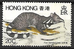 HONG KONG      -     Five-banded Civet    -    Oblitéré - Rodents