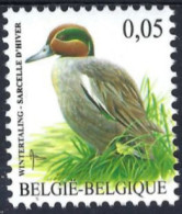 BELGIUM - COB 3623 ** - Sarcelle D'hiver - Wintertaling - Patos