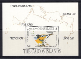 Caicos Islands 1985 Birth Centenary Of John J. Audubon MS MNH (SG MS72) - Turks And Caicos