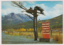 AK 199301 CANADA - Alberta - Blairmore - Sonstige & Ohne Zuordnung