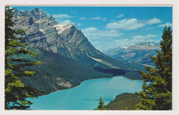 AK 199306 CANADA - Alberta - Peyto Lake - Altri & Non Classificati