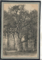 CPA (60) RETHONDES - Thème: ARBRE - Le Chêne Louis XIV De La Forêt De Laignes En 1906 - Rethondes