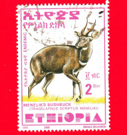 ETIOPIA - Usato - 2000 - Tragelafo Striato - Antilopi - Menelik's Bushbuck - 2- Form. 35 X 47 Millimetri - Ethiopie
