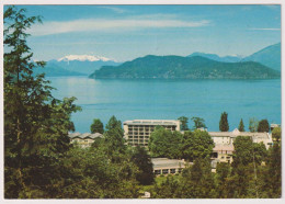 AK 199336 CANADA - British Columbia - Harrison Hot Springs - The Harrison Hotel - Other & Unclassified