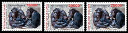 GUINEA 2023 - SET 3V - BIODIVERSITY - CHIMPANZEE CHIMPANZEES CHIMPANZE APES MONKEYS MONKEY APE SINGES - Chimpancés