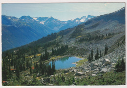 AK 199346 CANADA - British Columbia - Whistler Mountain - Harmony Laker - Autres & Non Classés
