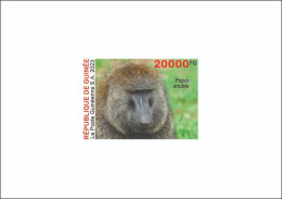 GUINEA 2023 - DELUXE PROOF - BIODIVERSITY - APE APES MONKEYS MONKEY BABOON SINGES SINGE - Singes