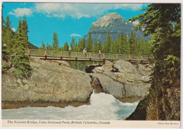 AK 199367 CANADA - British Columbia - Yoho National Park - The Natural Bridge - Altri & Non Classificati