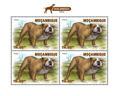 MOZAMBIQUE 2018 MNH  Dogs  Michel Code: 9789. Yvert&Tellier Code: 8154 - Mozambique