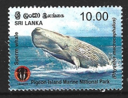 SRI LANKA. N°1947 De 2014. Cachalot. - Whales