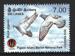 SRI LANKA. N°1946 De 2014. Pigeon. - Tauben & Flughühner