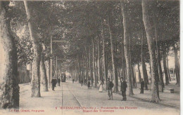 66 - Rivesaltes - Promenades Des Platanes  Départ Des Tramways - Rivesaltes